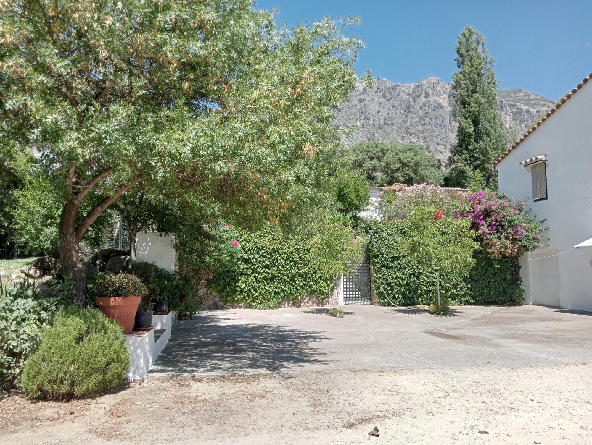 Casa Rural La Maquinilla กราซาเลมา ภายนอก รูปภาพ