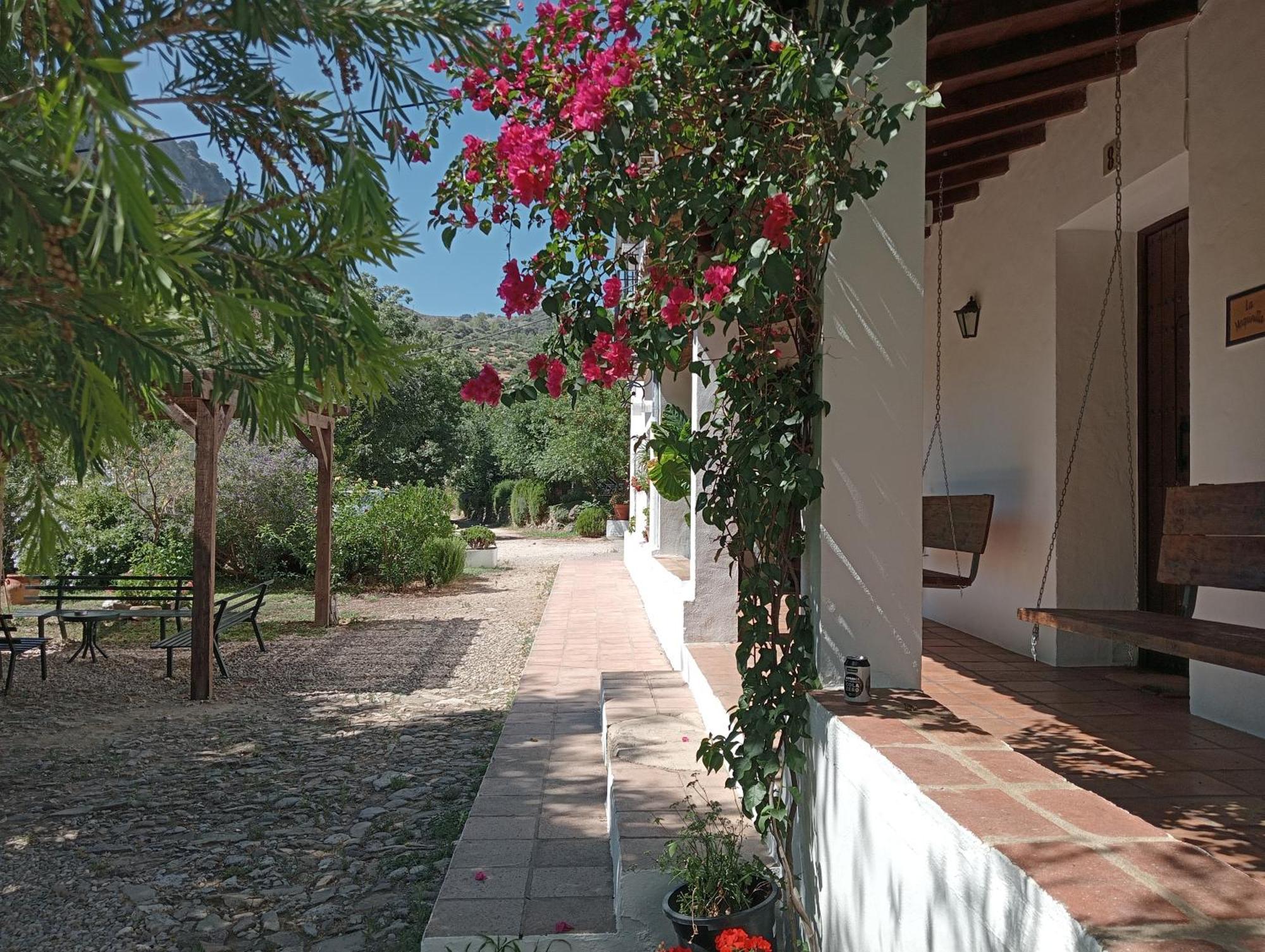 Casa Rural La Maquinilla กราซาเลมา ภายนอก รูปภาพ