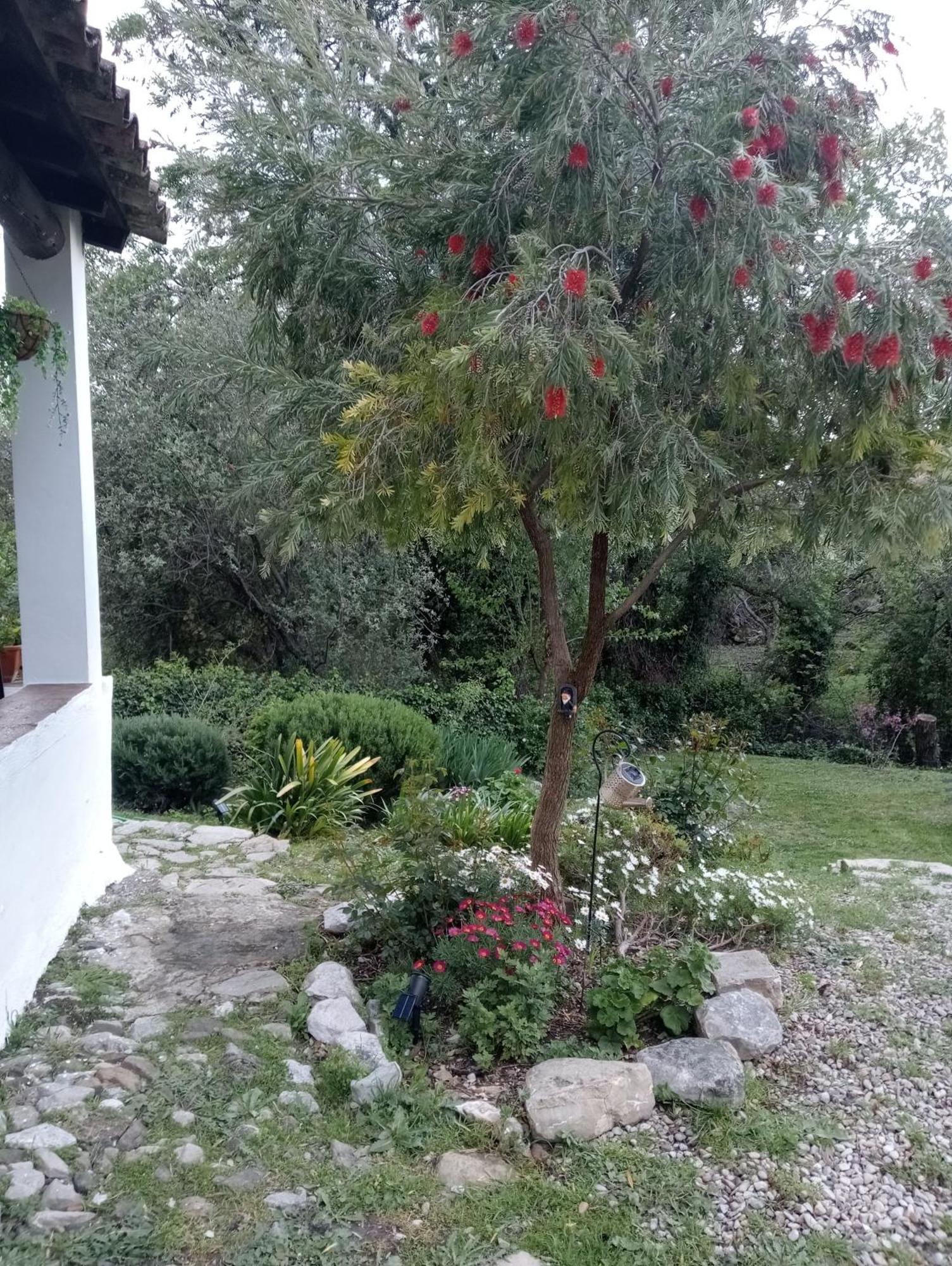 Casa Rural La Maquinilla กราซาเลมา ภายนอก รูปภาพ